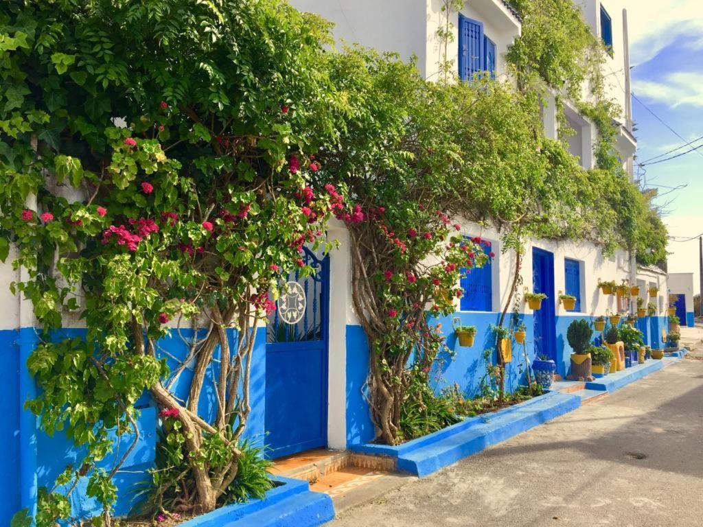Chez Souad Apartment Oualidia Ruang foto
